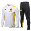 BVB Borussia Dortmund Trenings Collegegenser Set 22-23 Kvart-Zip Hvit - Herre